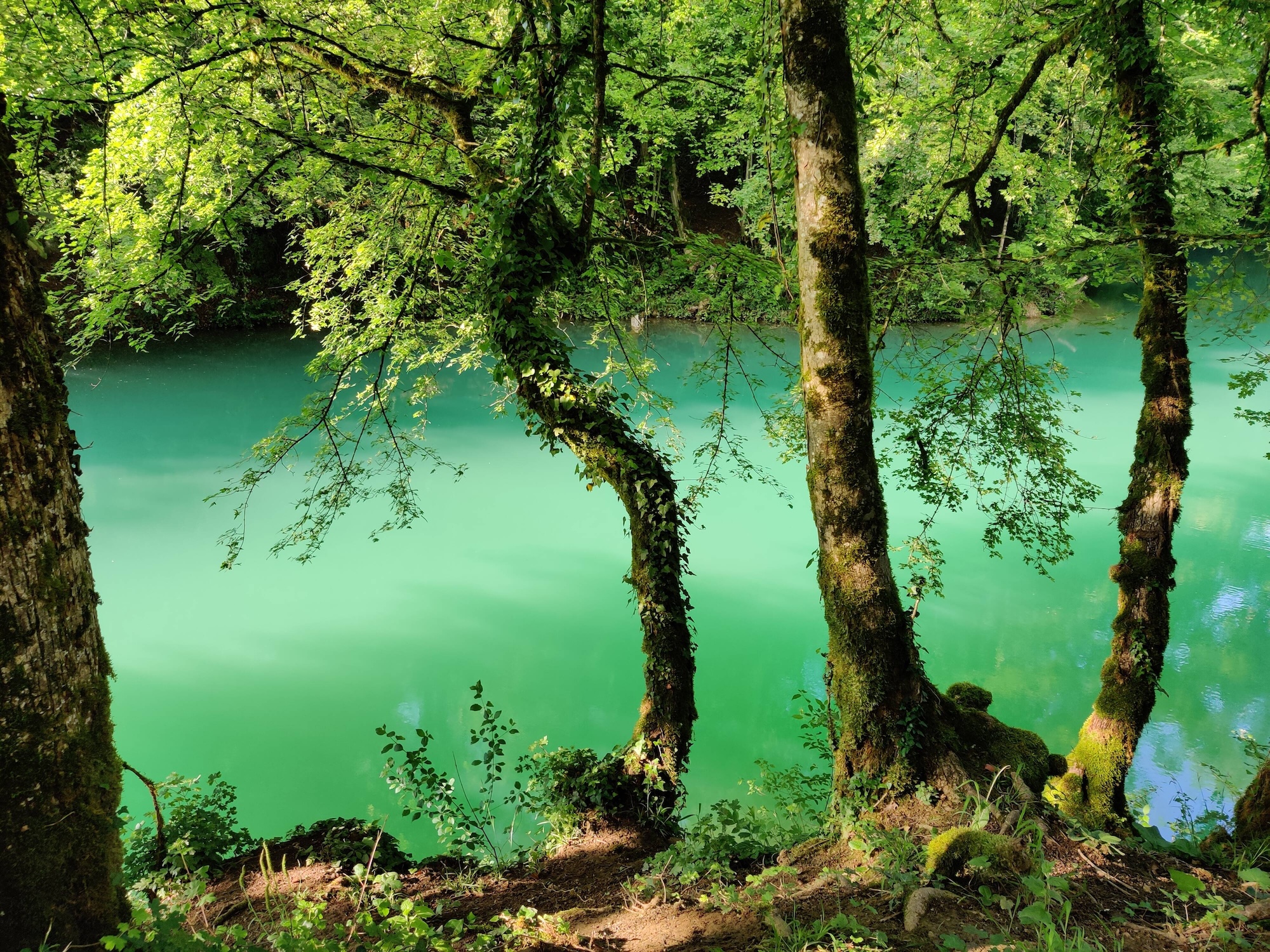 lac bleu amberieu en bugey lyon