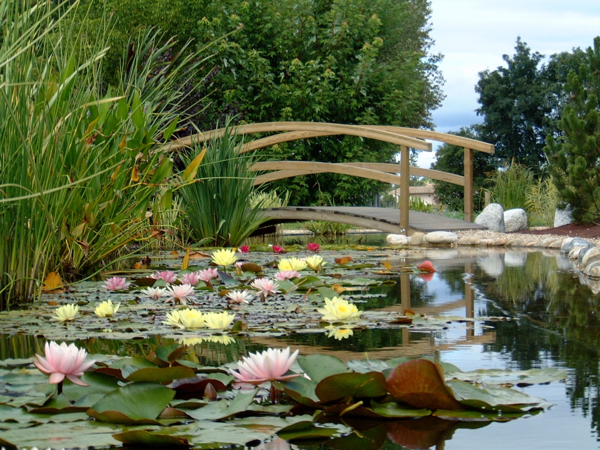 les jardins aquatiques saint-didier-sur-chalaronne