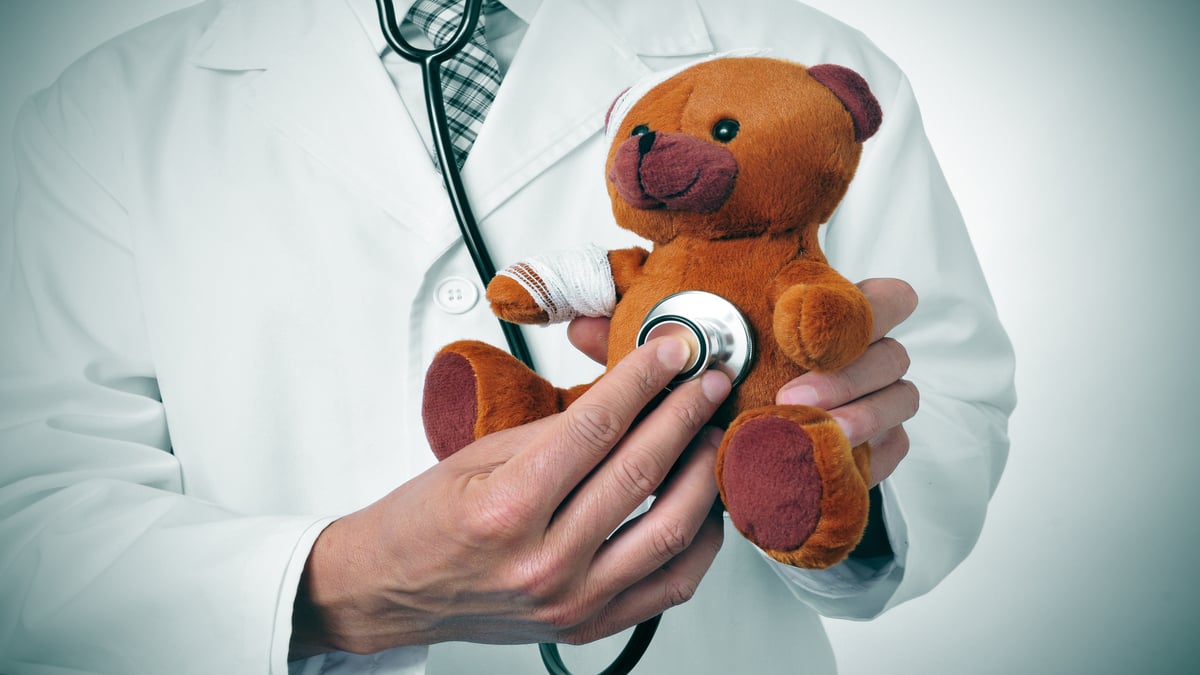 L’hôpital Des Nounours De Retour à Strasbourg Pour Soigner Les Peluches ...