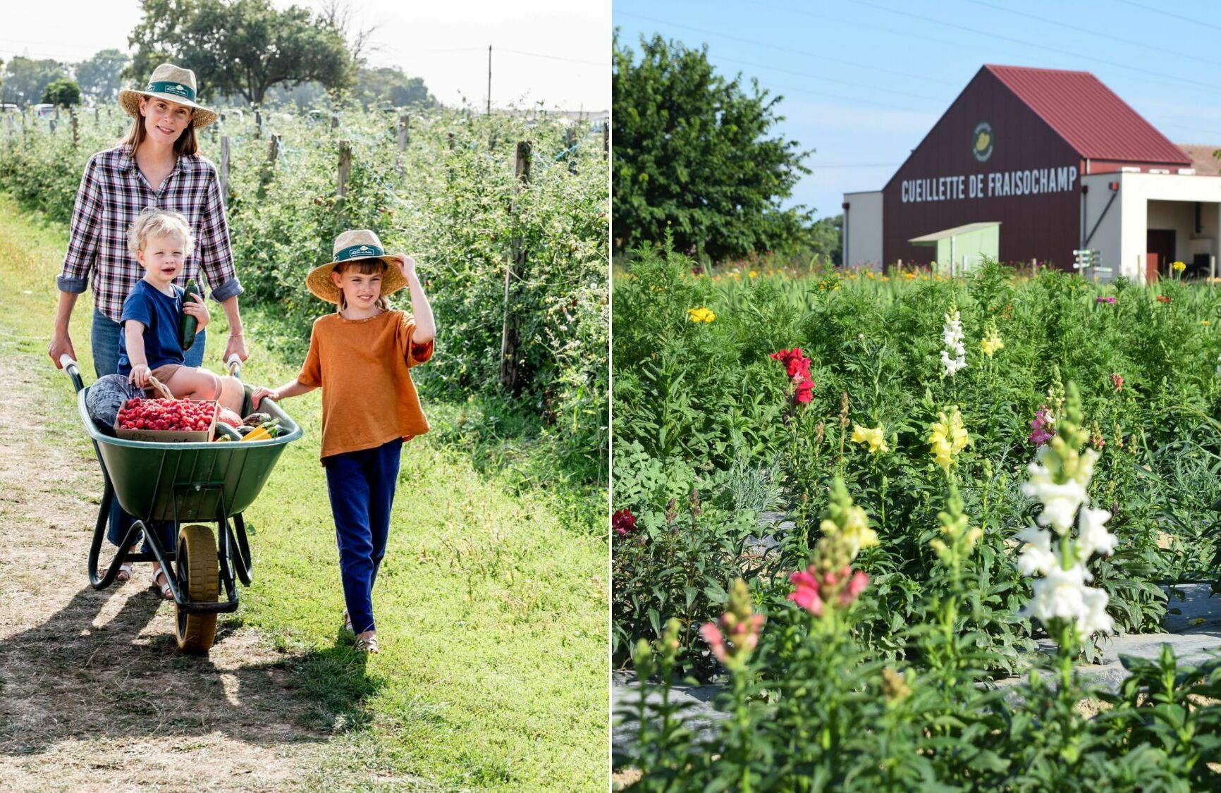 Fraisochamp : un immense jardin potager où cueillir fruits, légumes et  fleurs à deux pas de Lyon | Le Bonbon