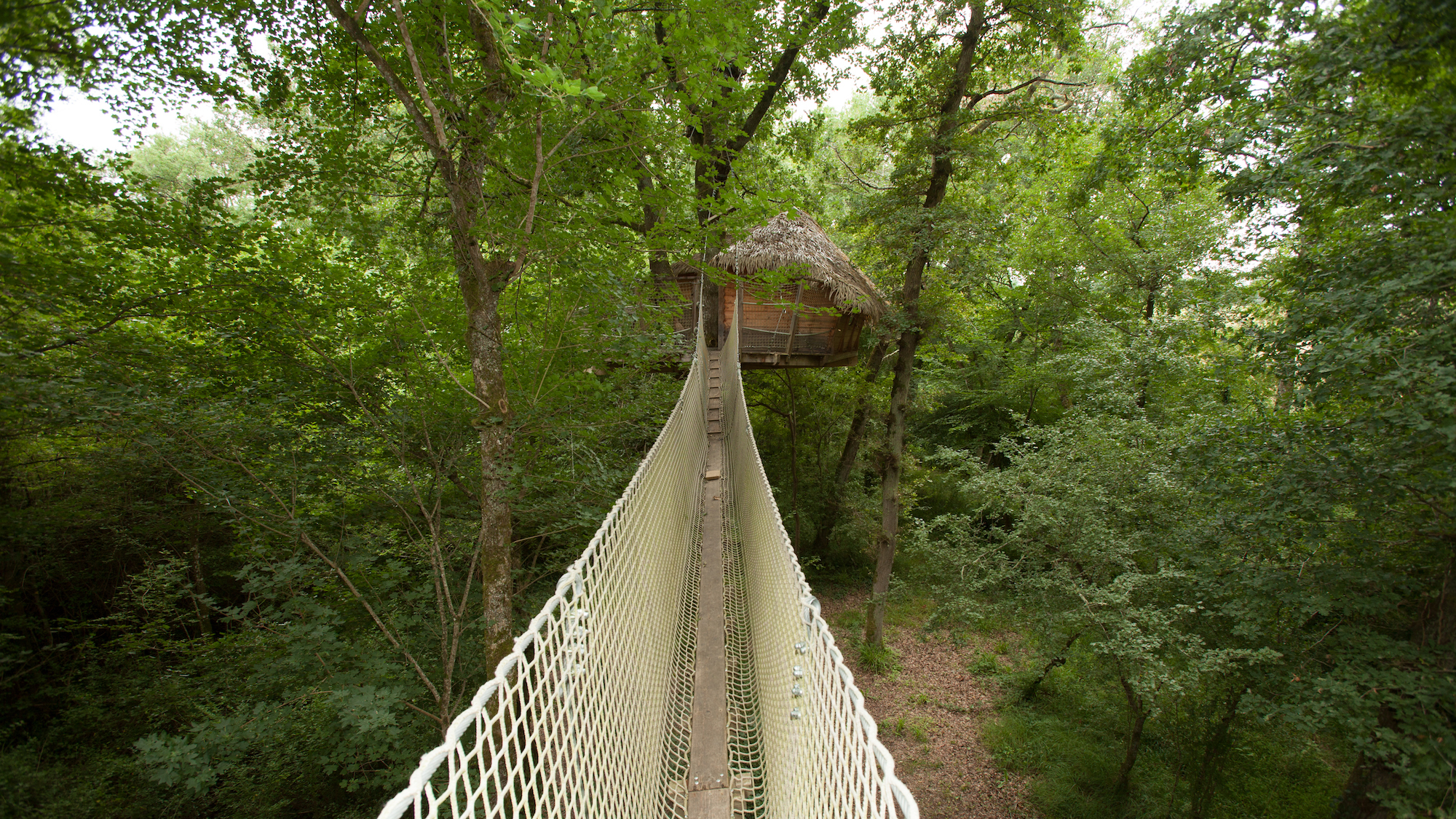 À 30 mn de Bordeaux, dormez dans une cabane cachée accessible par tyrolienne et pont suspendu saint-emilion-1