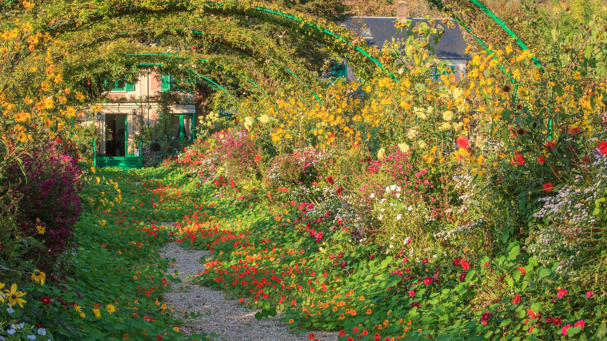 jardins-claude-monet-giverny-plus-beau-champ-de-fl