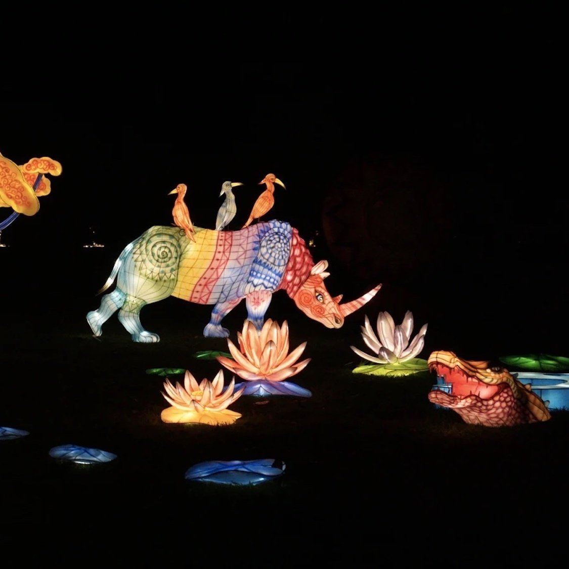 animaux-savane-sculptures-de-soie-illuminations-de