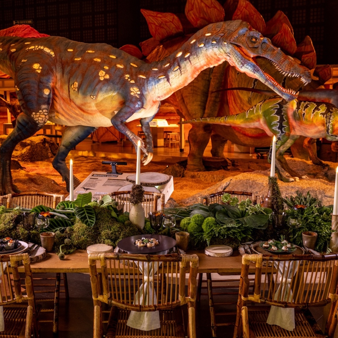 diners-dinosaures-cap-sciences-bordeaux