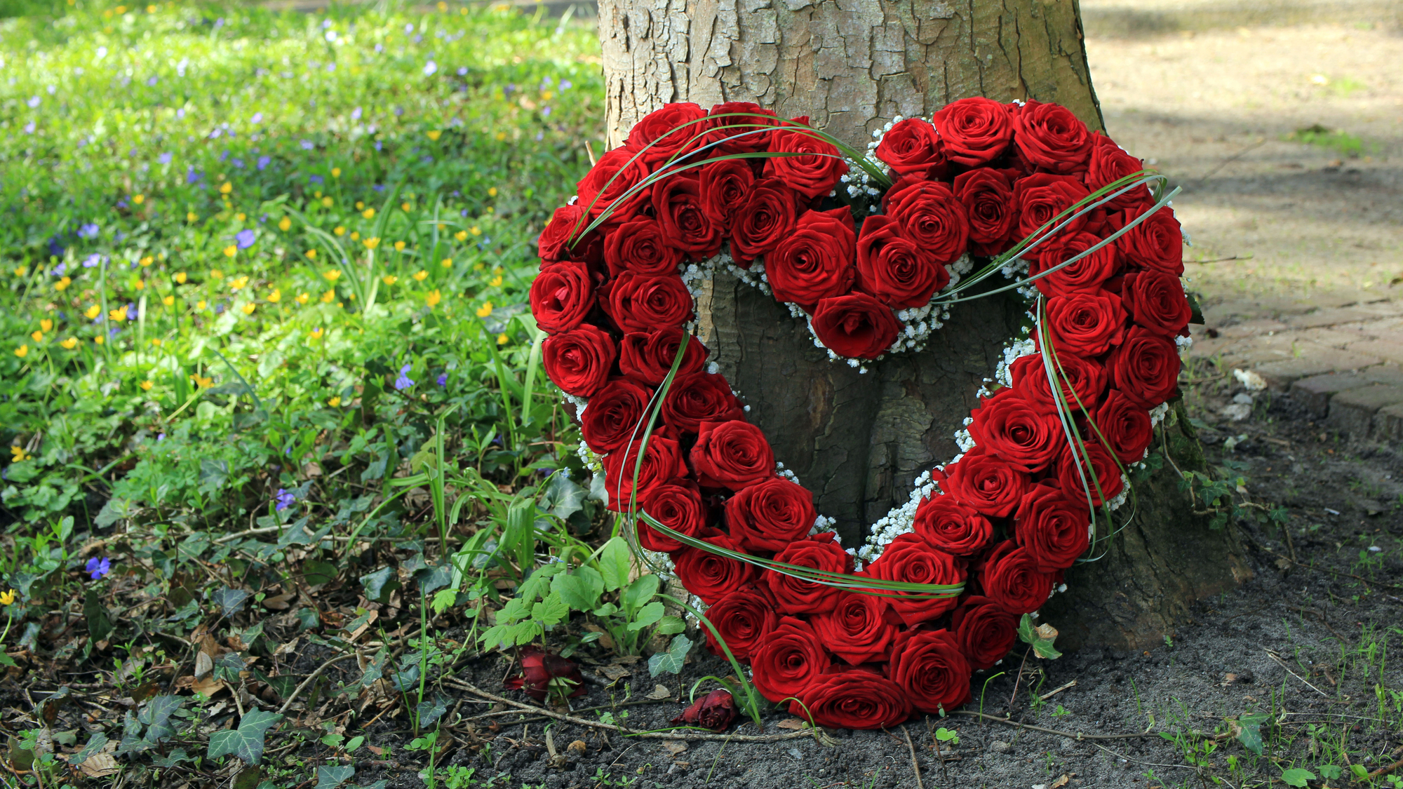 Des tombes nouvelle génération vont sortir de terre au cimetière de Strasbourg shutterstock-1544634533-2-1-