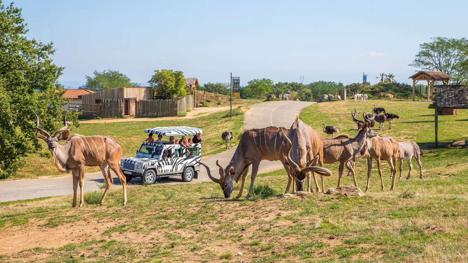 safari de peaugres lyon activités été