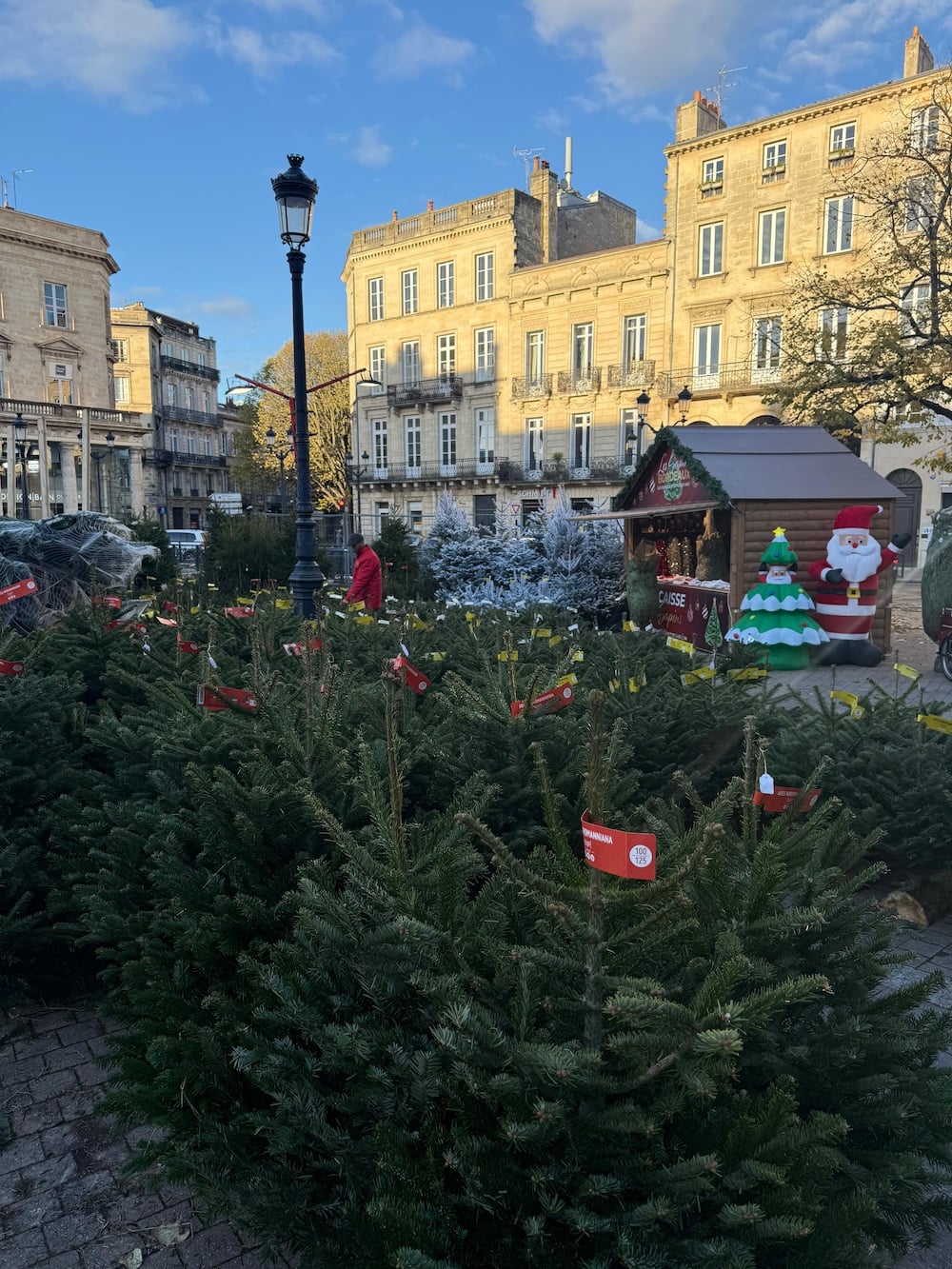 acheter-sapin-noel-bordeaux