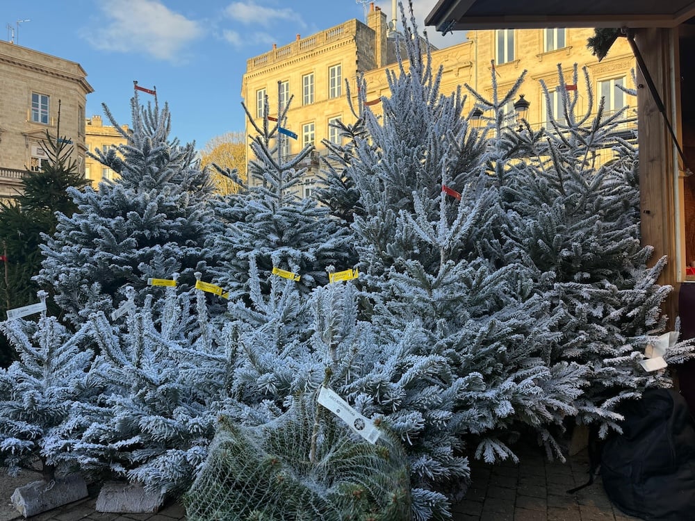 sapin-noel-bordeaux