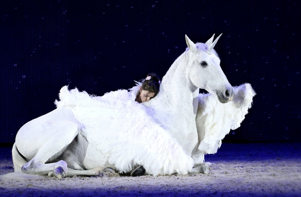 spectacle-jumping-bordeaux