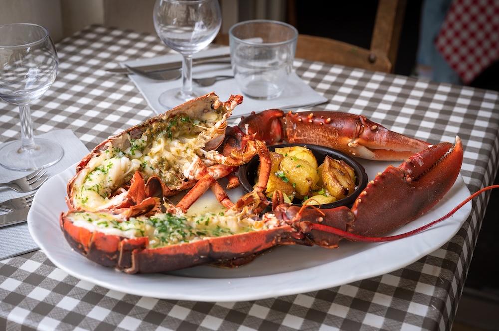 homard-bordeaux-tout-du-cru