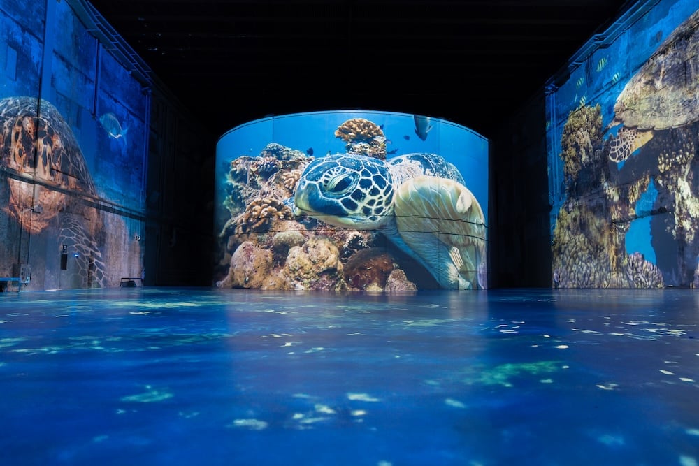 bassins-lumieres-ocean-bordeaux