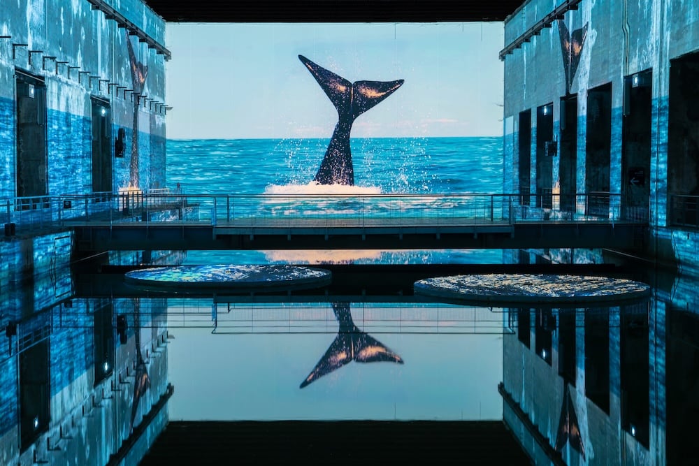 expo-ocean-bassins-lumieres-bordeaux