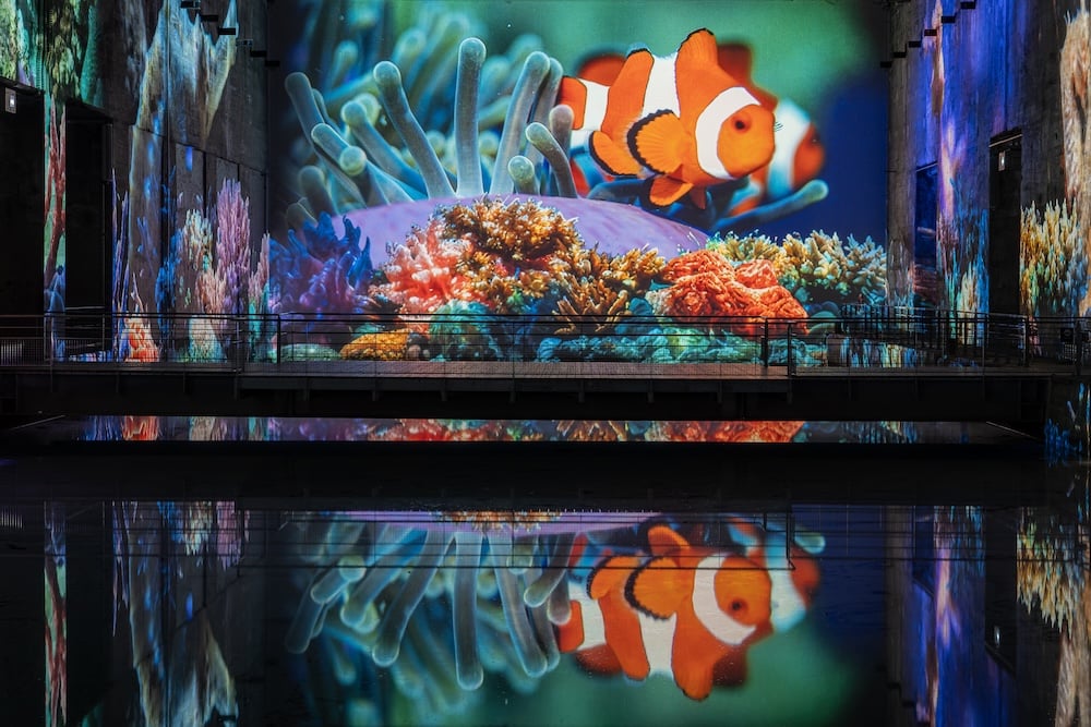 expo-ocean-bassins-lumieres