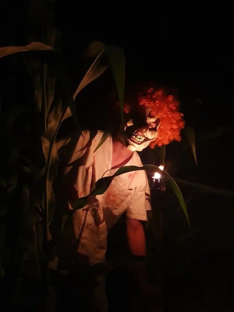 nuit-horreur-labyrinthe-mais