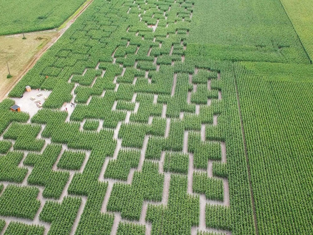 pop-corn-labyrinthe-parempuyre