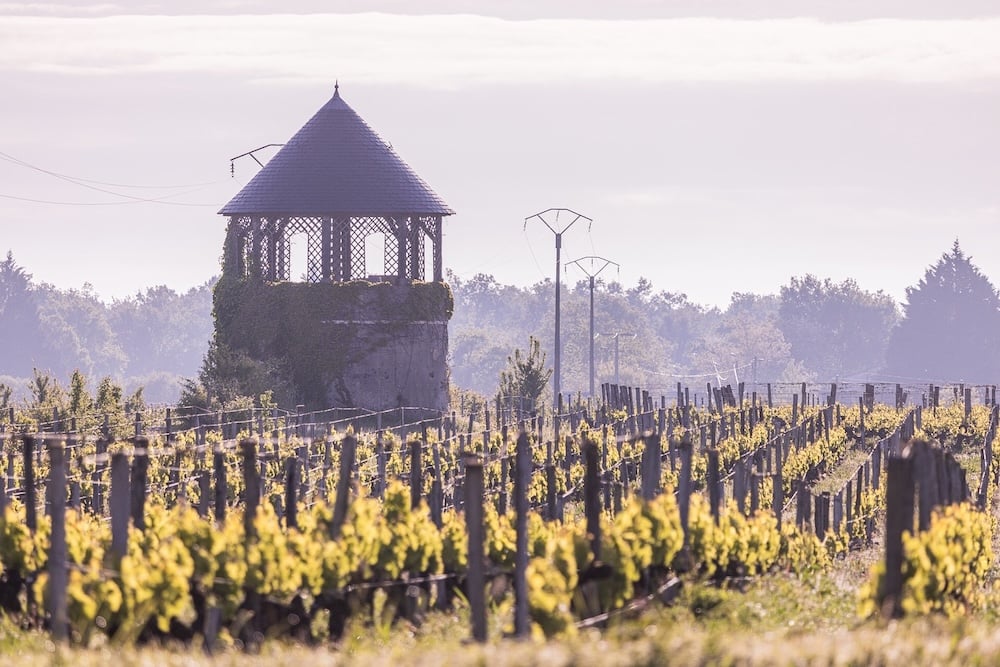 senejac-chateau