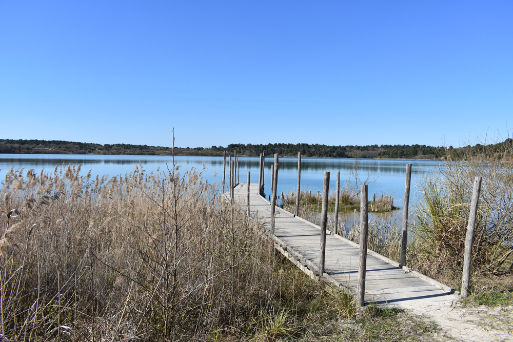 reserve-naturelle-arjuzanx-landes