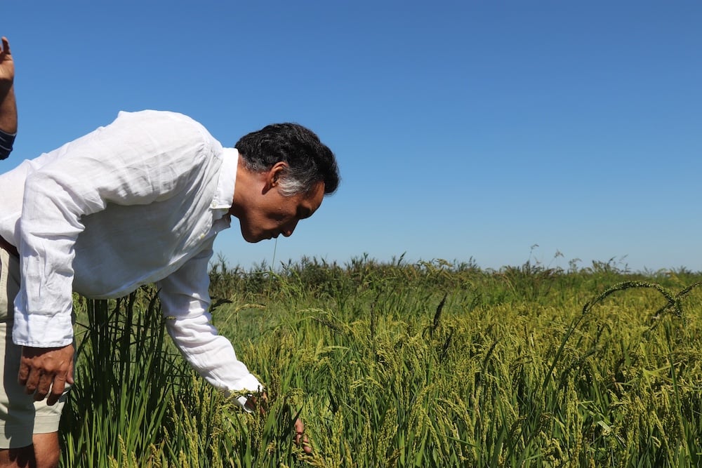maison-sake-bordeaux