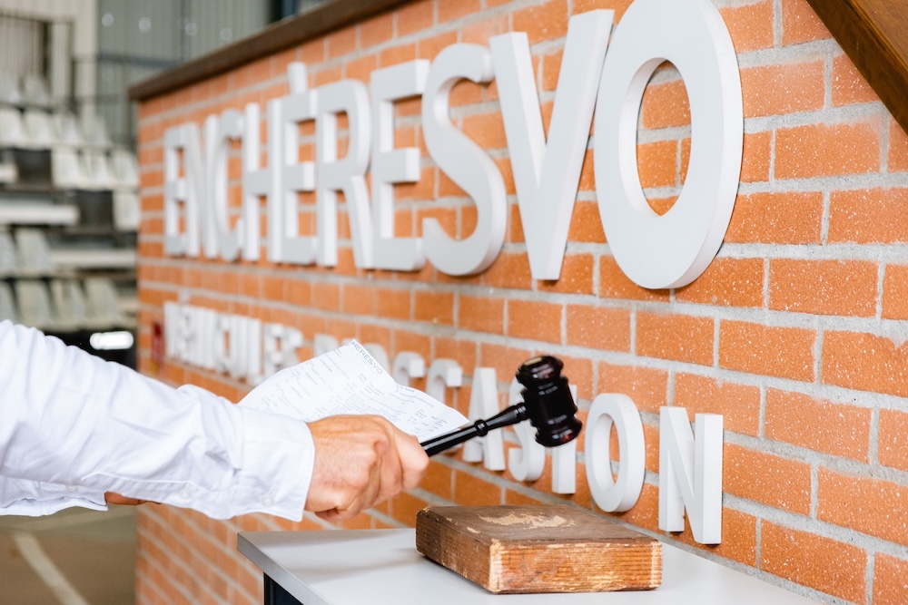 voitures-encheres-bordeaux