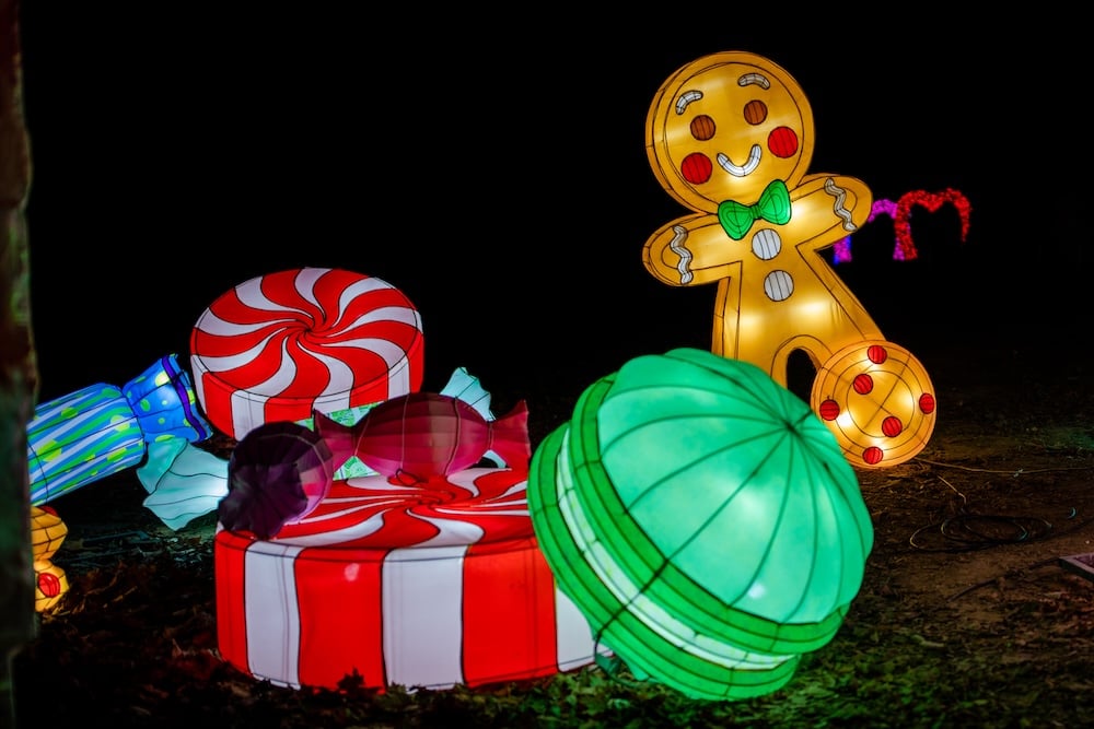 castel-novel-fete-lumieres