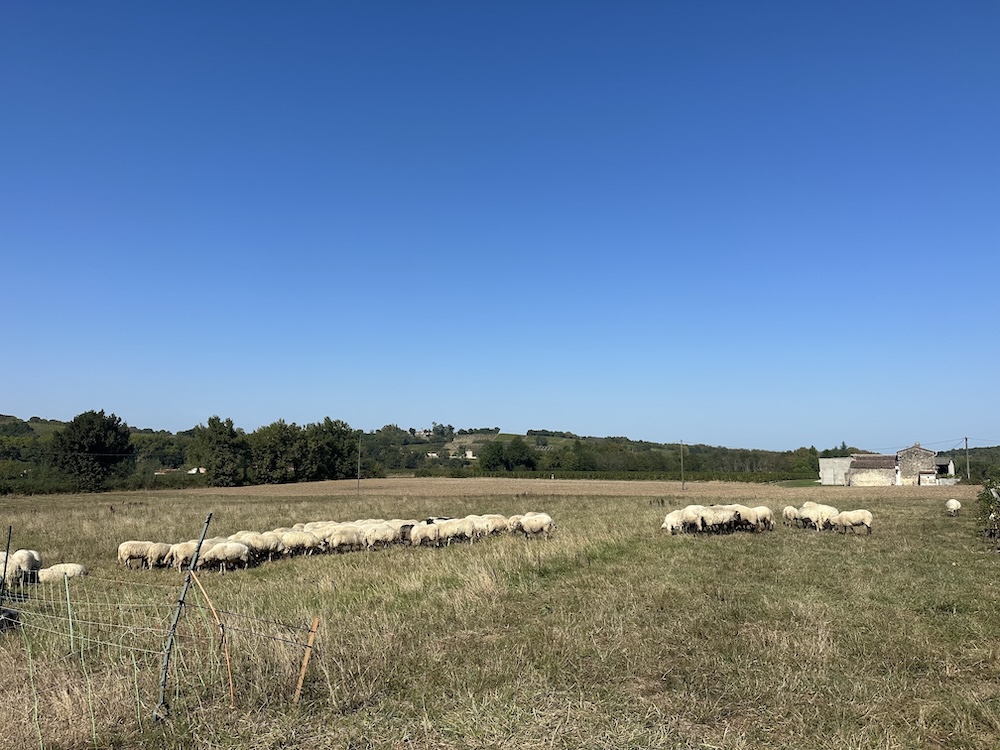 ferme-cadillac-sur-garonne