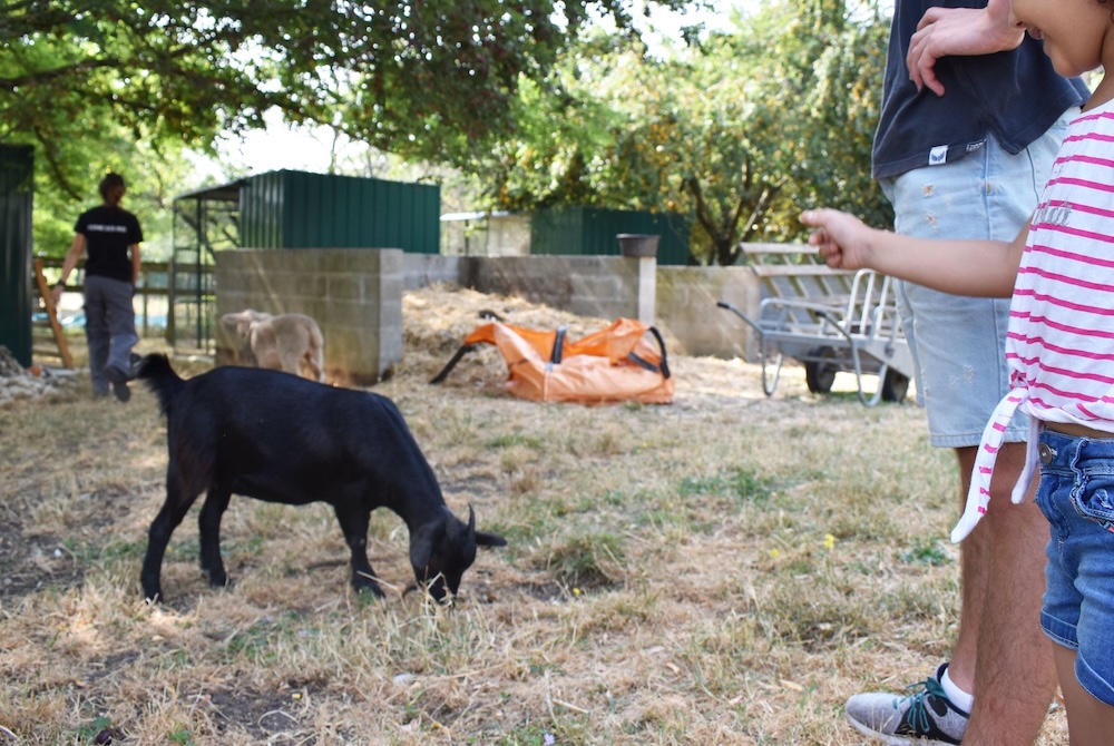 ferme-des-iris-a-lormont