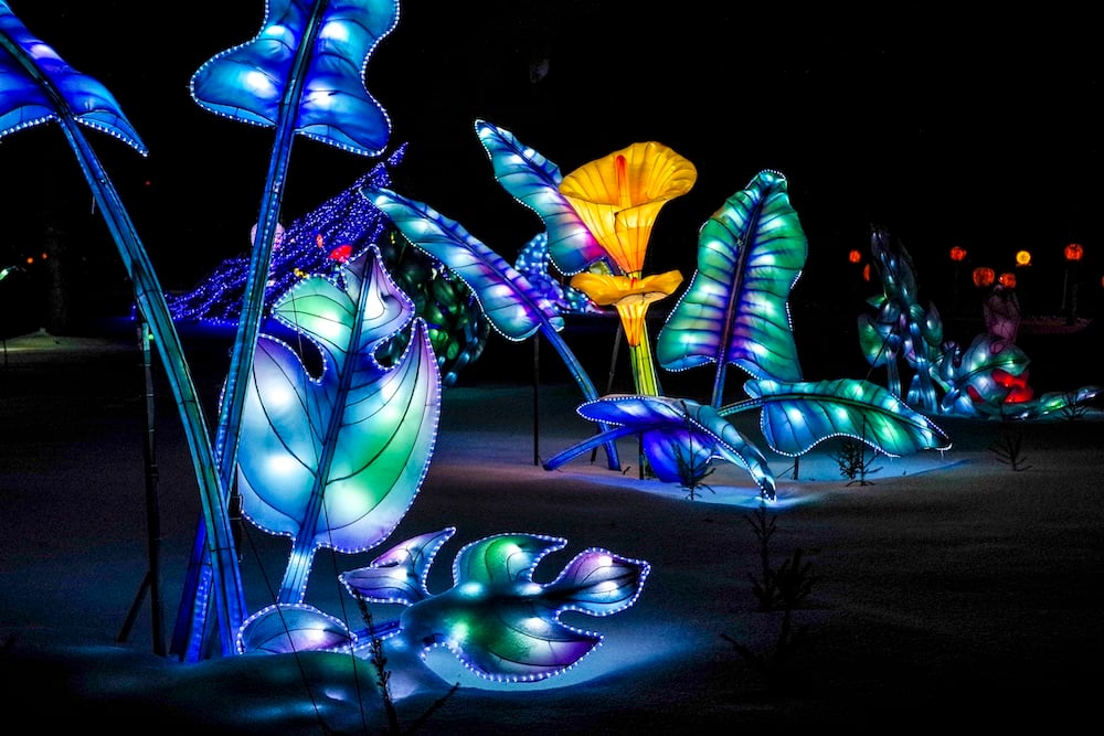 festival-des-lanternes