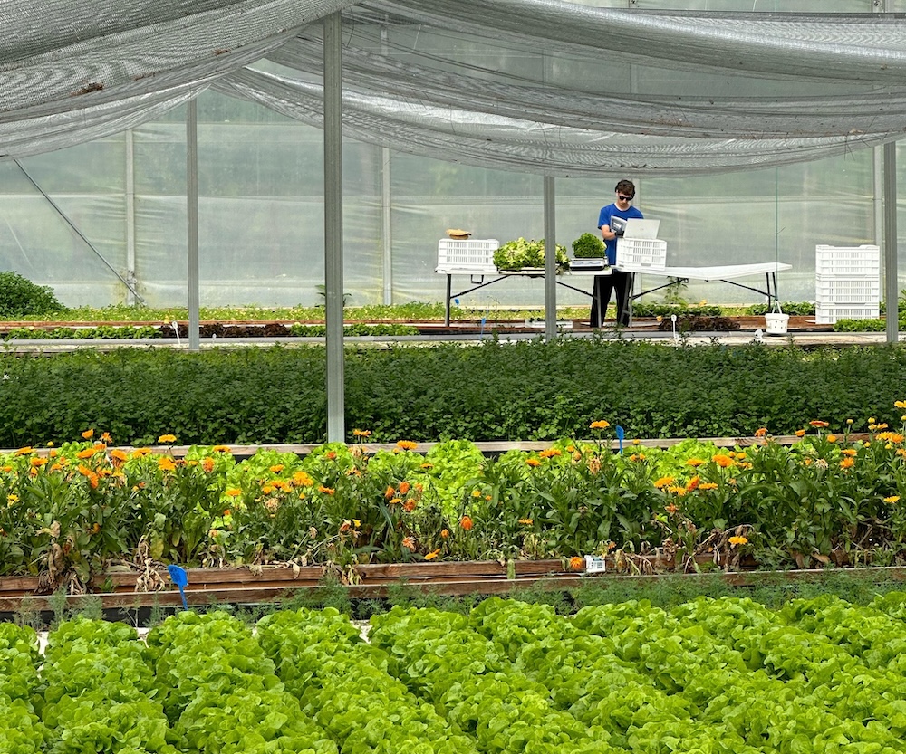 merignac-nouvelles-fermes