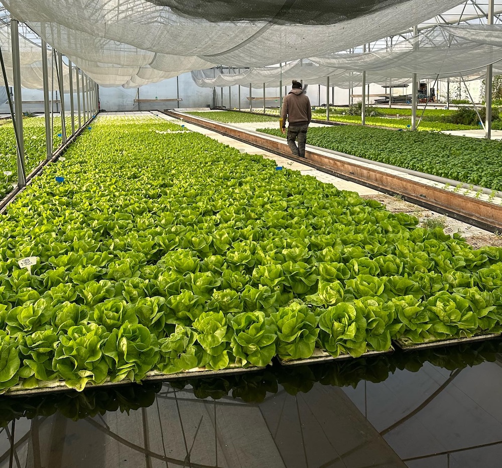 nouvelles-fermes-merignac