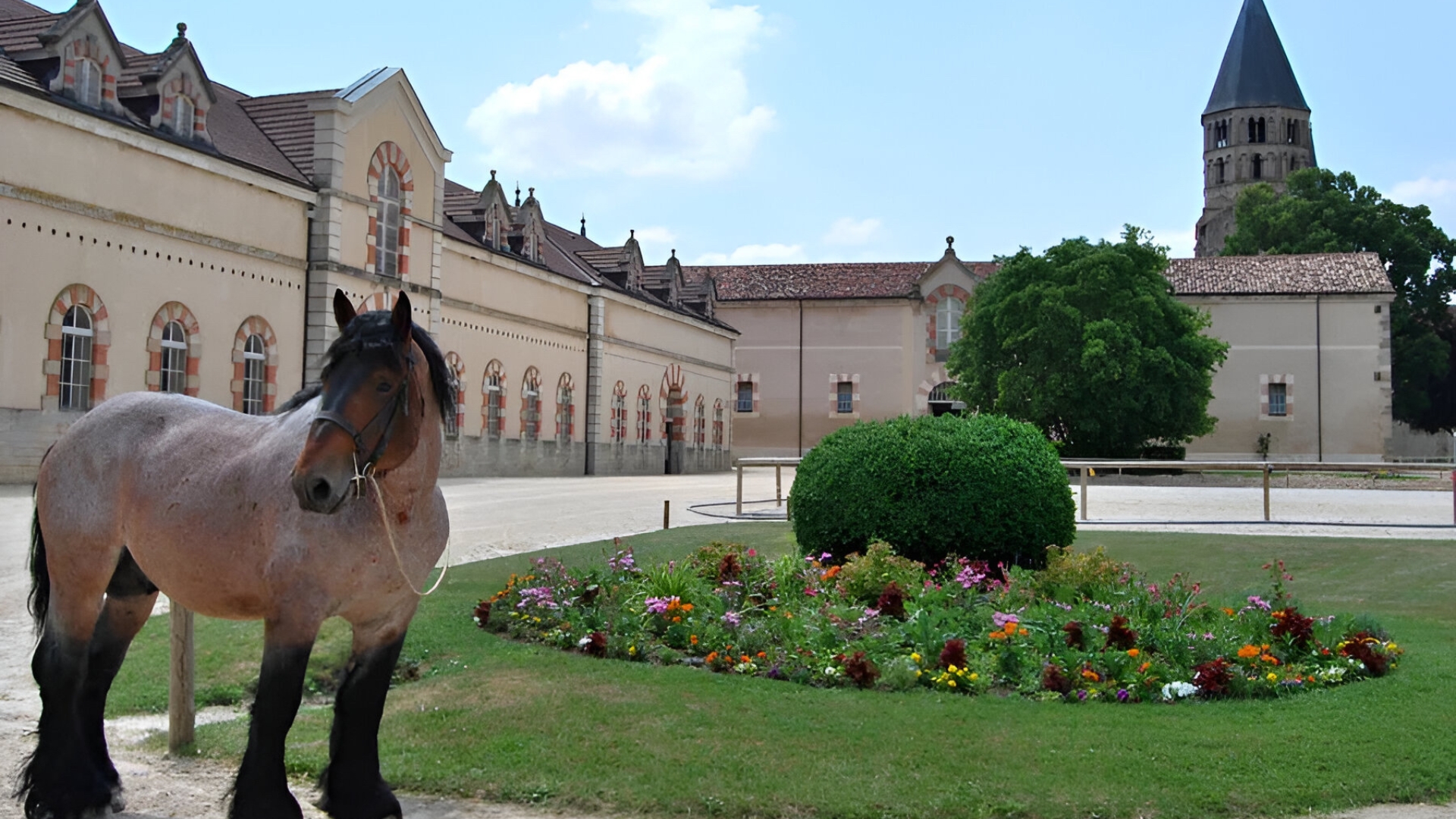 Chevaux de Cluny