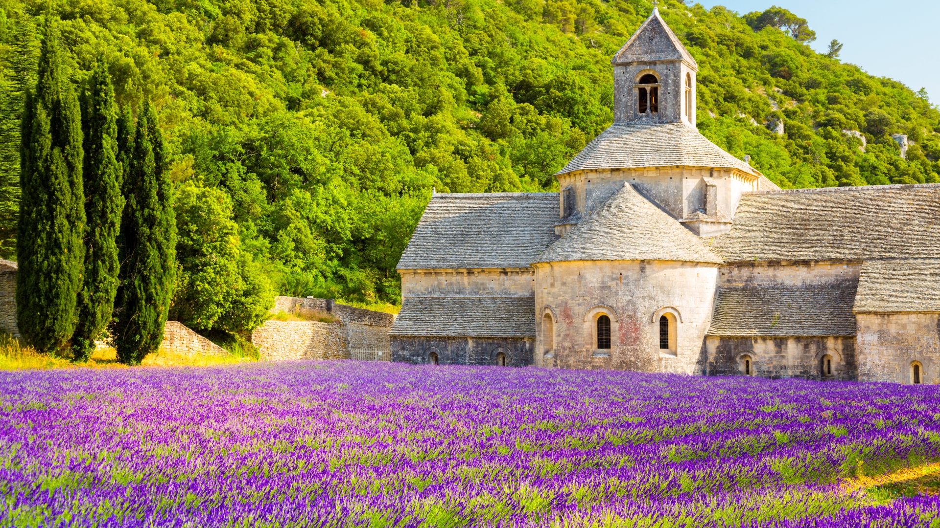 La provence à 5h de Dijon, destination vacances parfaites pour les dijonnais