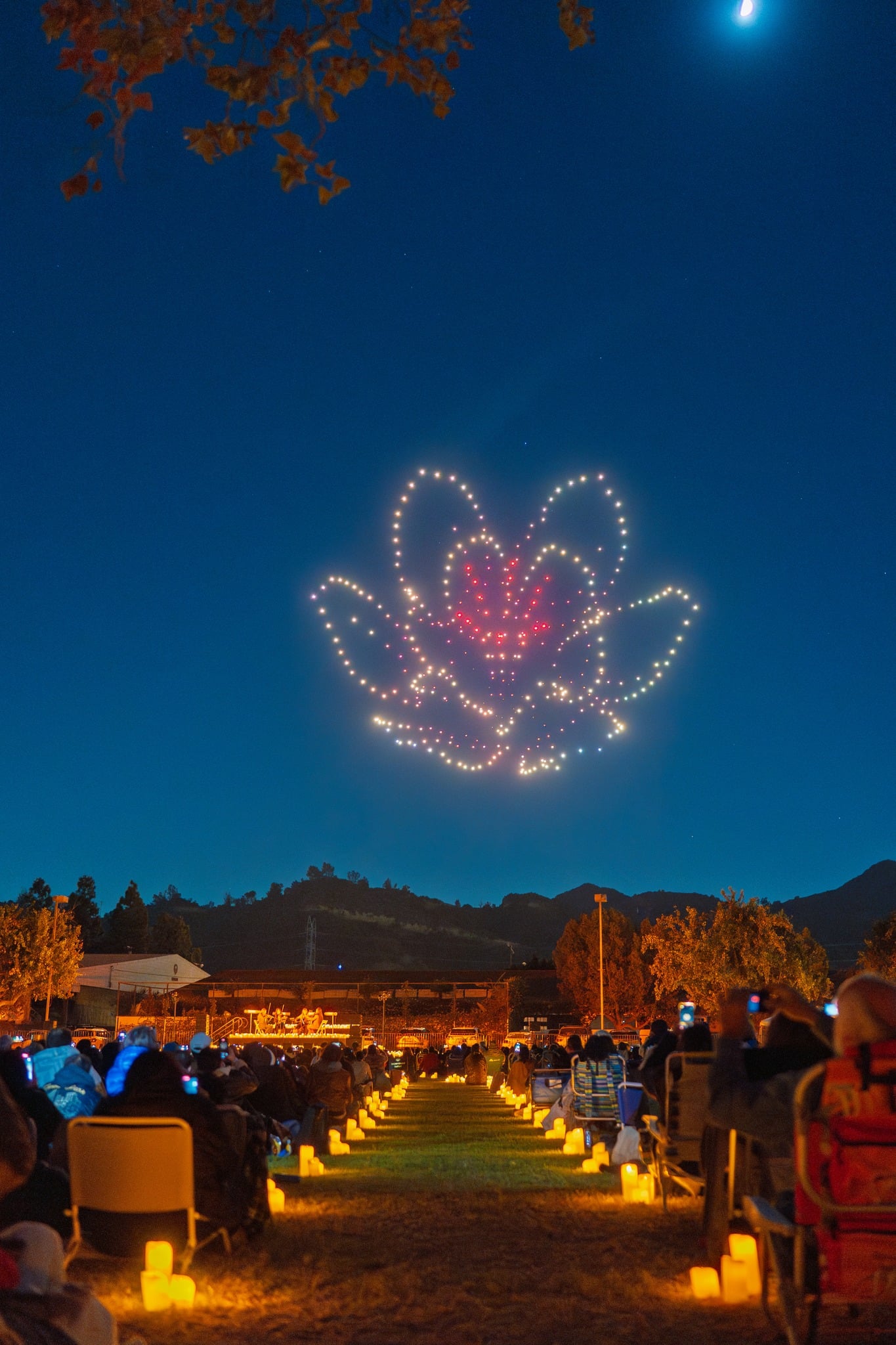 droneart-show-spectacle-drones-musique-classique-lyon