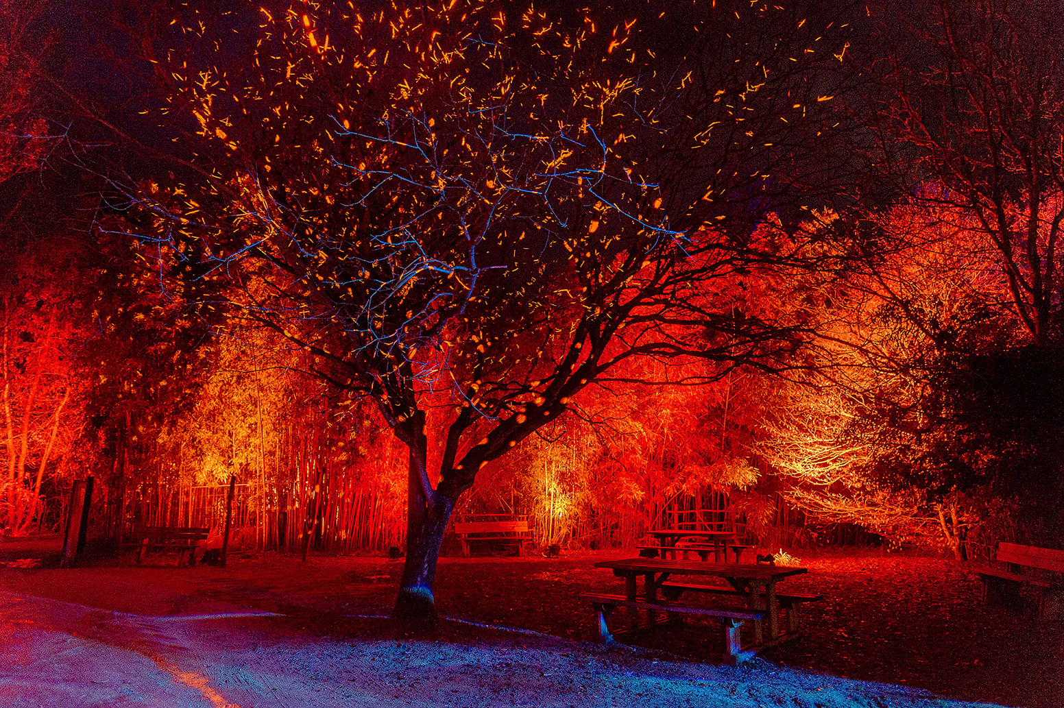 nuits-parc-oiseaux-festival-lumieres-lyon