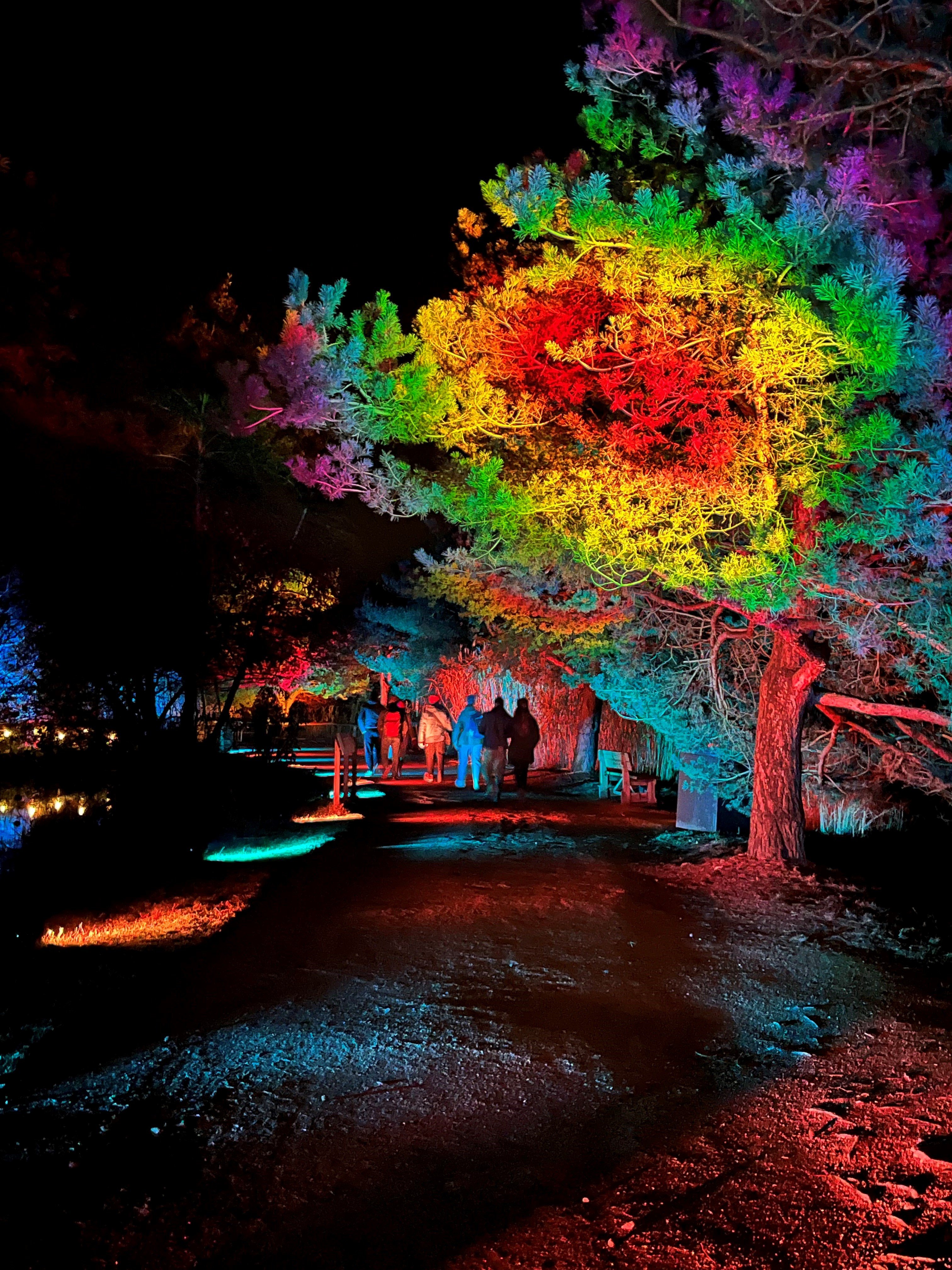 nuits-parc-oiseaux-festival-lumieres-lyon