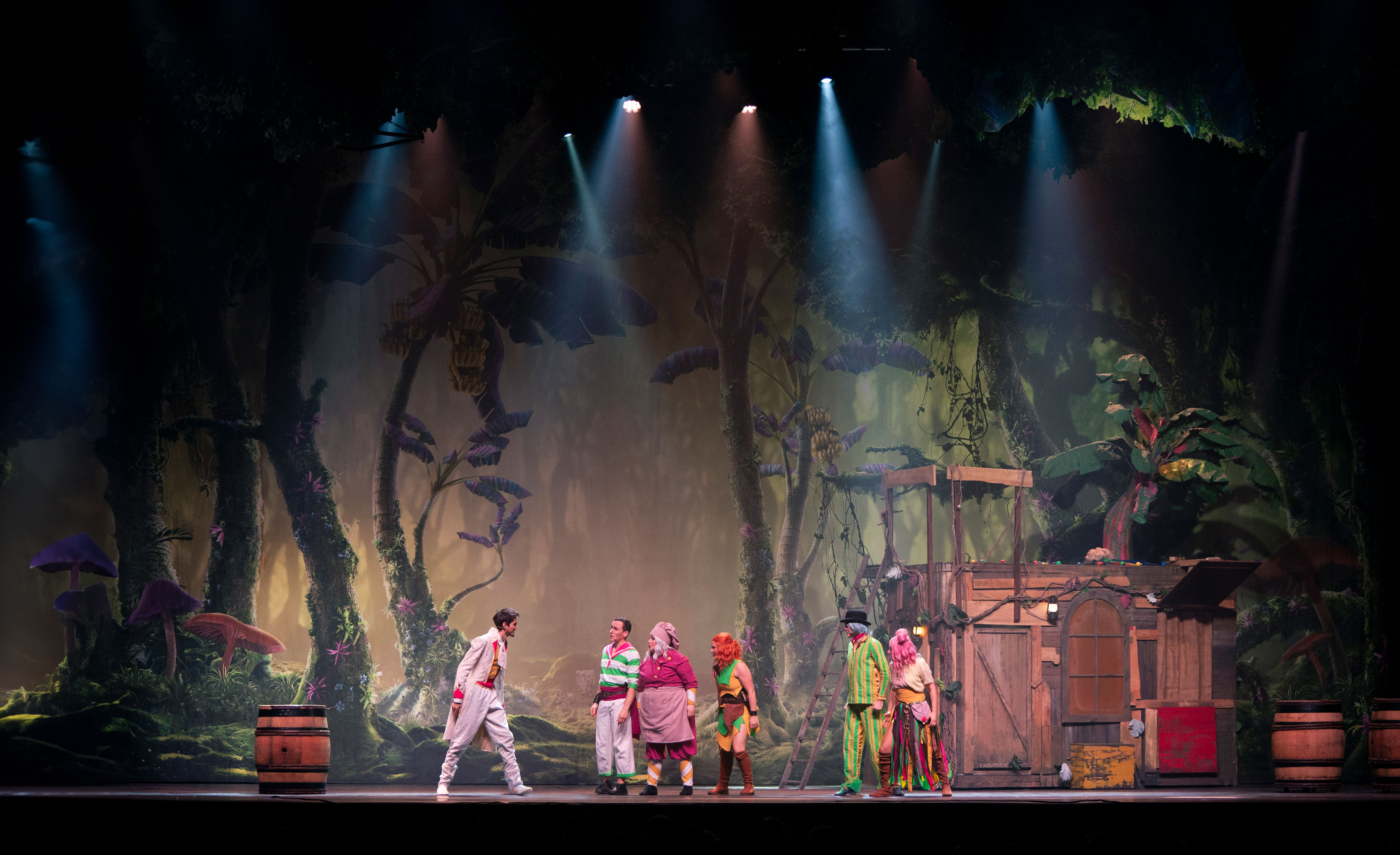 nowa-ecole-magie-comedie-musicale-lyon
