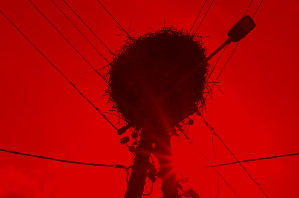 international meetings paris/berlin