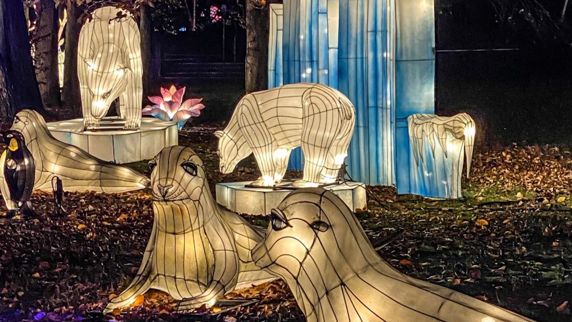 L'Odyssée Lumineuse au Parc Floral de Paris 2025