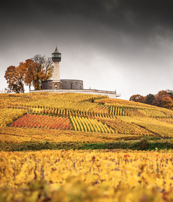 Le Phare de Verzenay