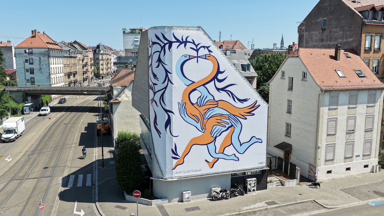 oeuvre-street-art-224-m²-facade-strasbourg