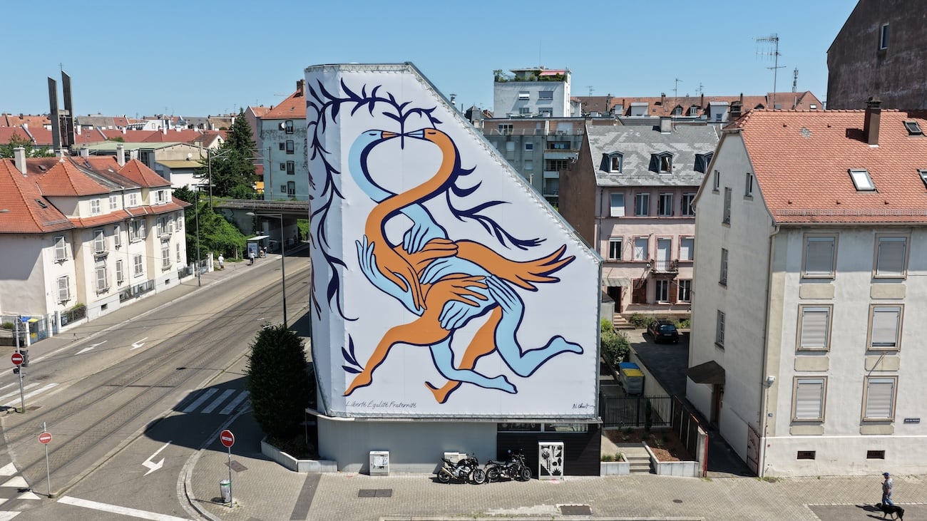 oeuvre-street-art-224-m²-facade-strasbourg
