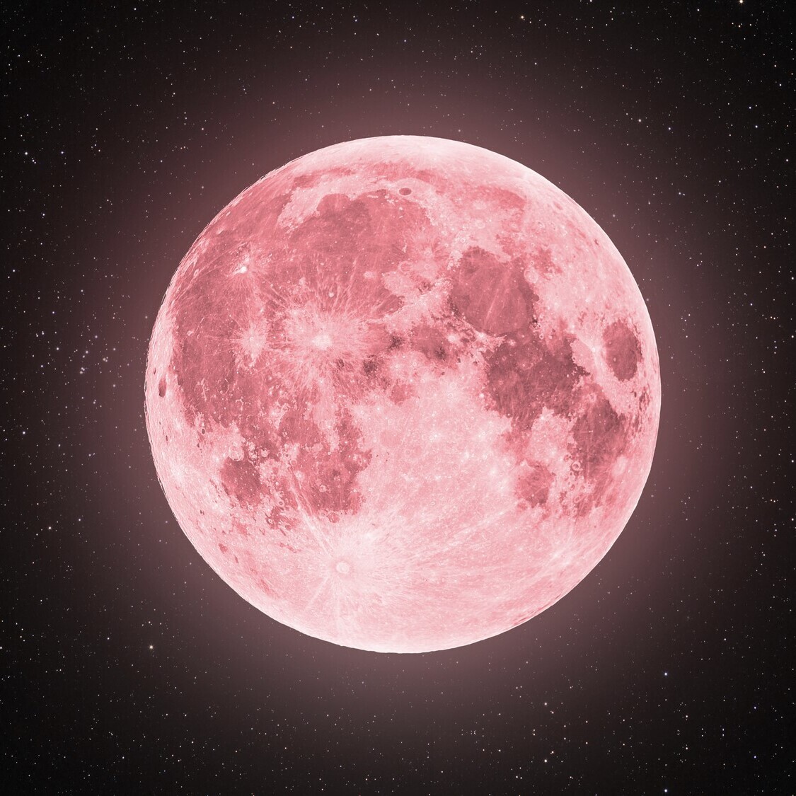 shutterstock-1696909426-1-1-