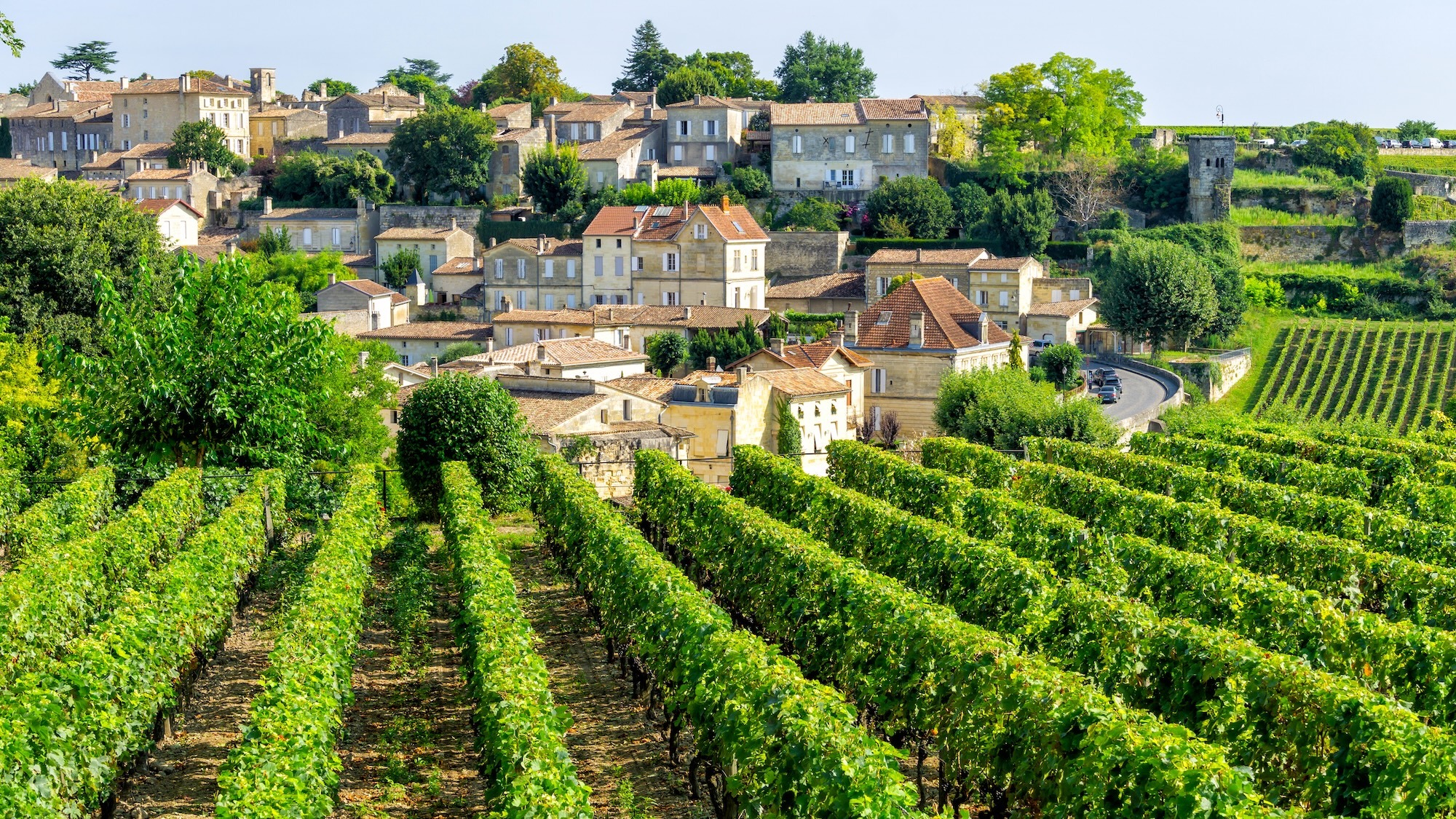 journe-es-portes-ouvertes-saint-emilion
