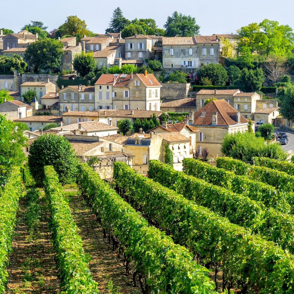 journe-es-portes-ouvertes-saint-emilion