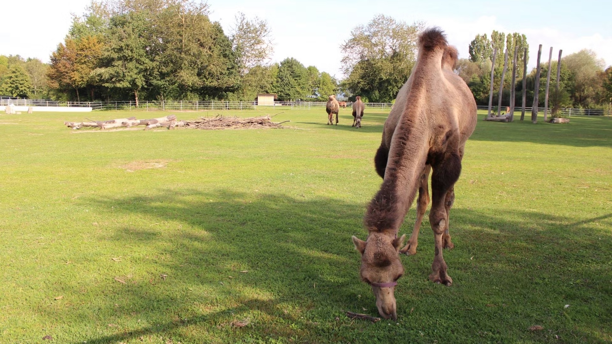 pres-strasbourg-mundenhof-parc-animalier-gratuit