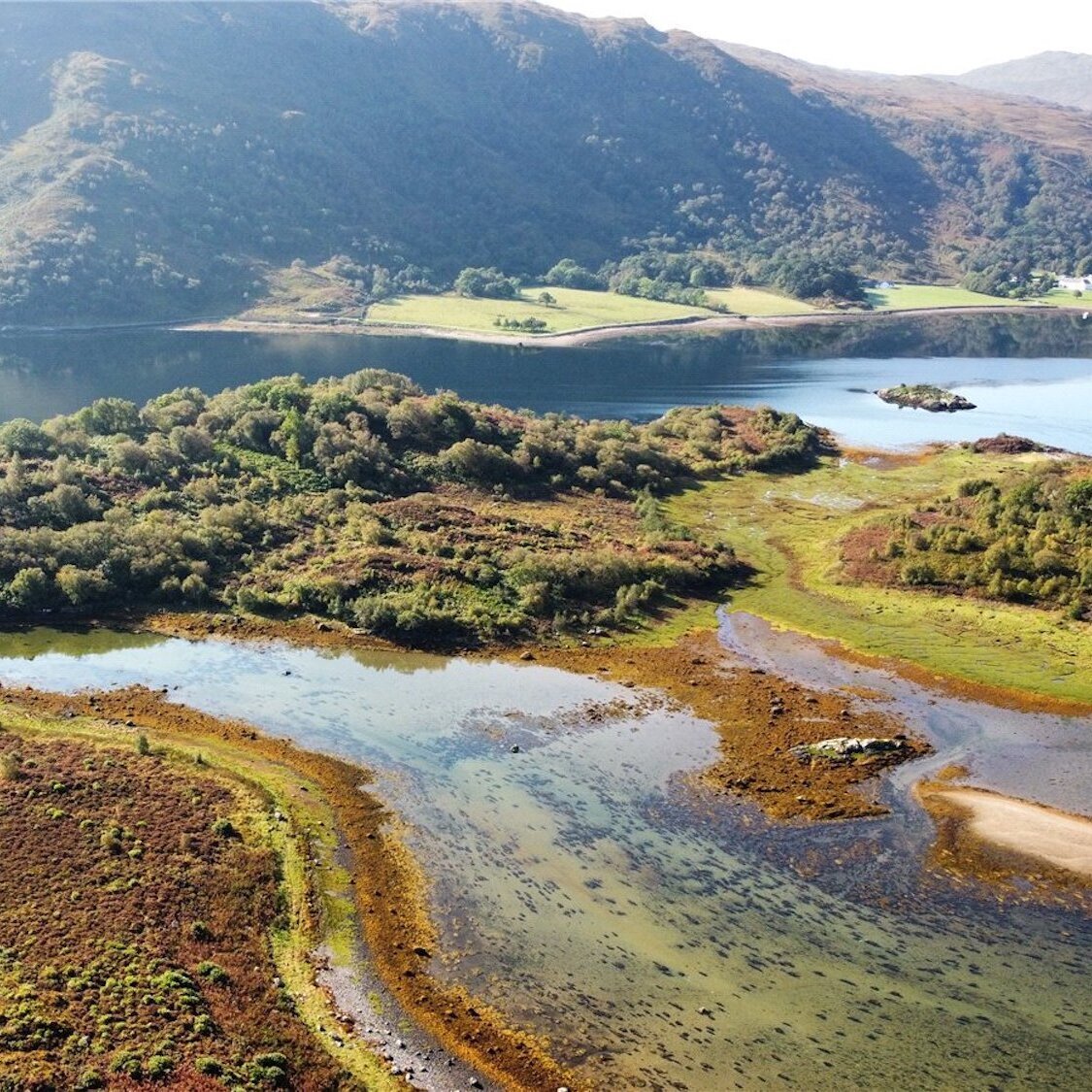 ile-eilean-mor-ecosse