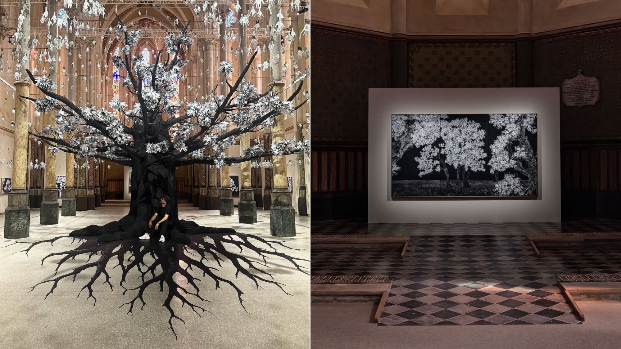 artiste-jr-arbre-geant-carre-sainte-anne-montpelli