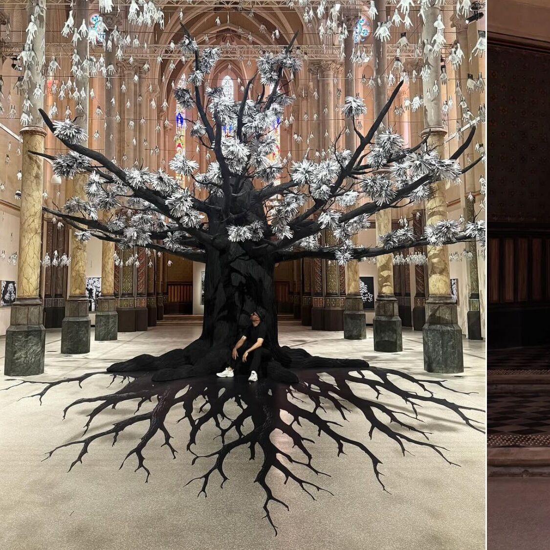 artiste-jr-arbre-geant-carre-sainte-anne-montpelli
