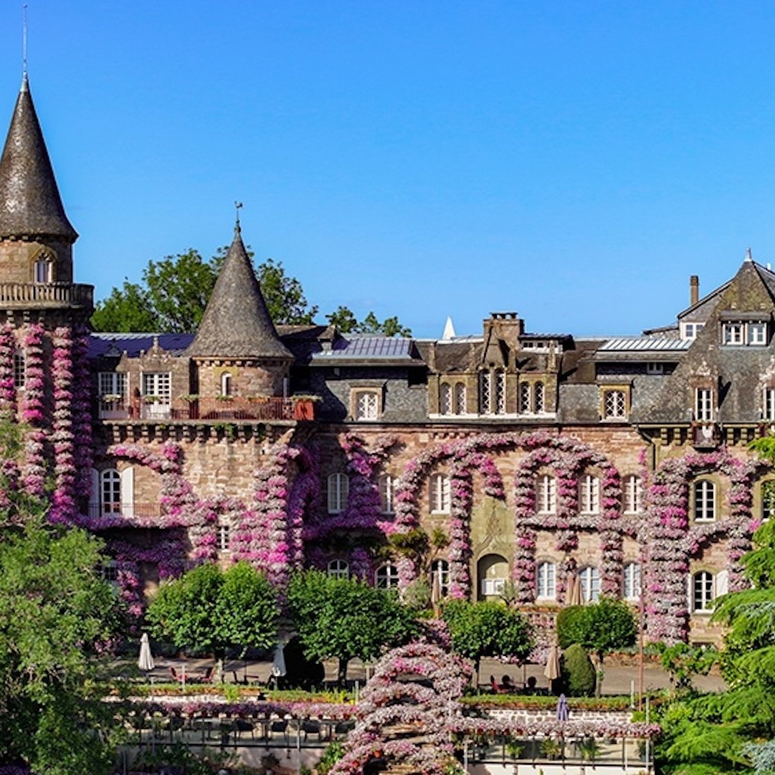 castel-novel-chateau-romantique-roses-sauvages-fac