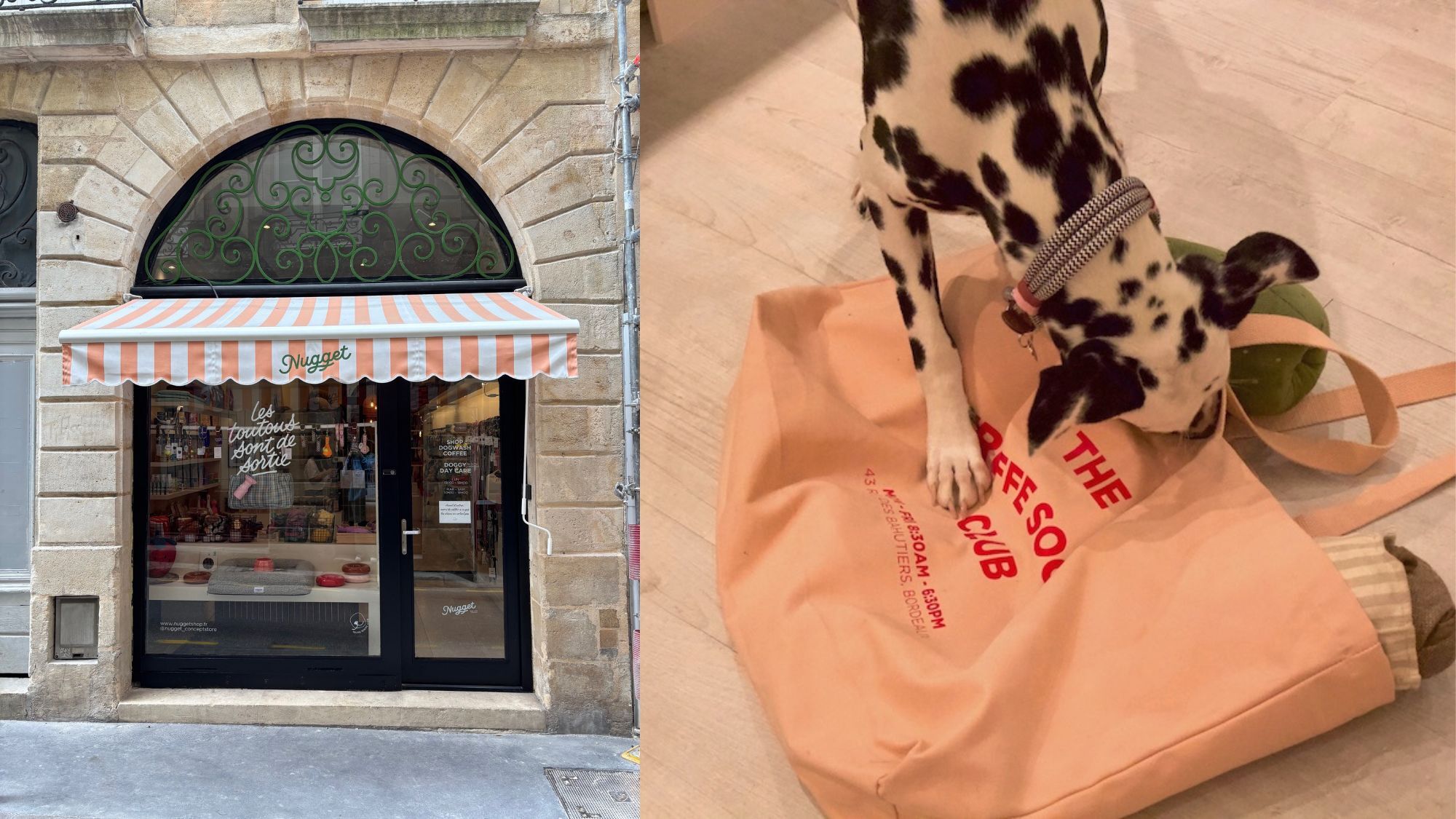 nugget-bordeaux-store