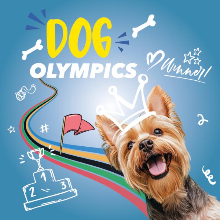 dogolympics-bruxelles-chiens